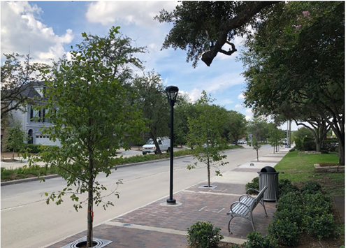 The image displays a two-lane road and sidewalk with streetscape features including small trees and streetlights, benches, garbage cans, and landscaping in Houston, Texas.